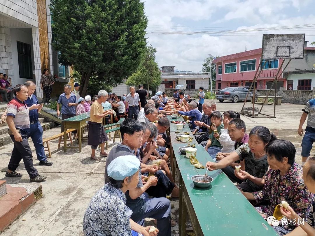 杉树镇粽香飘万里干群心连心