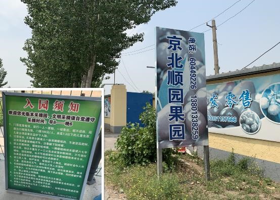 对的时间做对的事哈弗f7x的樱桃烧烤季