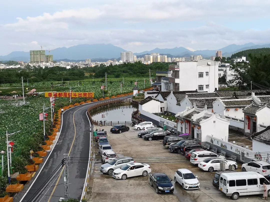 端午节陆河县河田镇河西走廊荷香引来数千游客