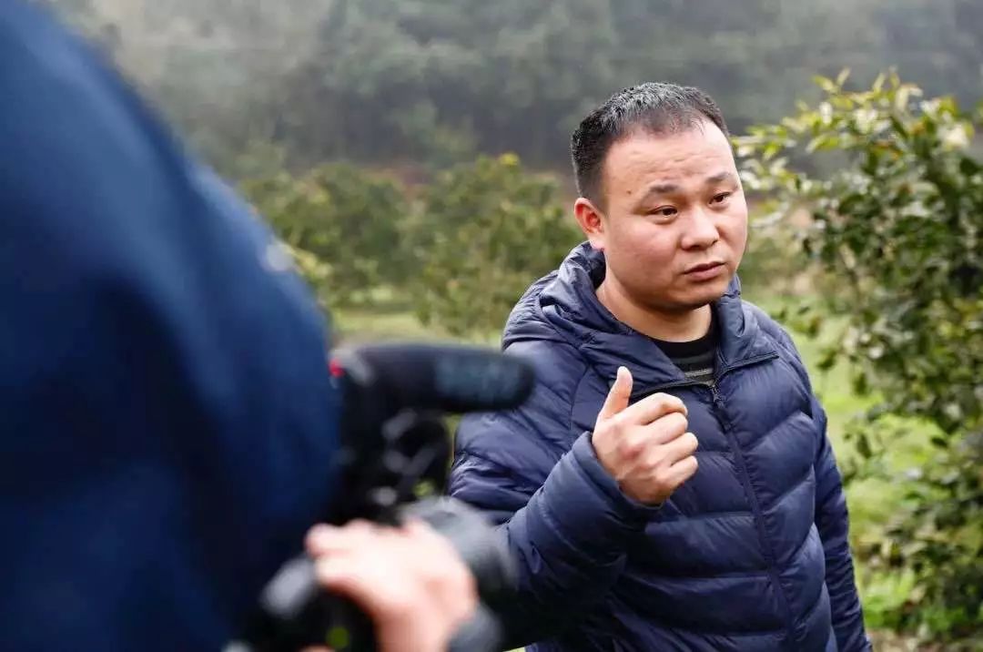 从左至右上至下:陈子彧(沃翠源),王宁(归朴农园),冯润霞(归朴农园),白