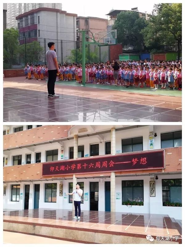 安全周记仰天湖小学2019年春季校园安全周记第14周第16周