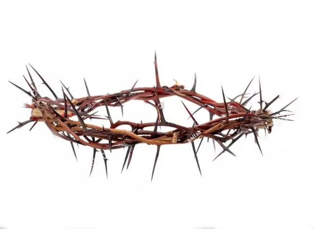 圣经传说基督教圣物大盘点