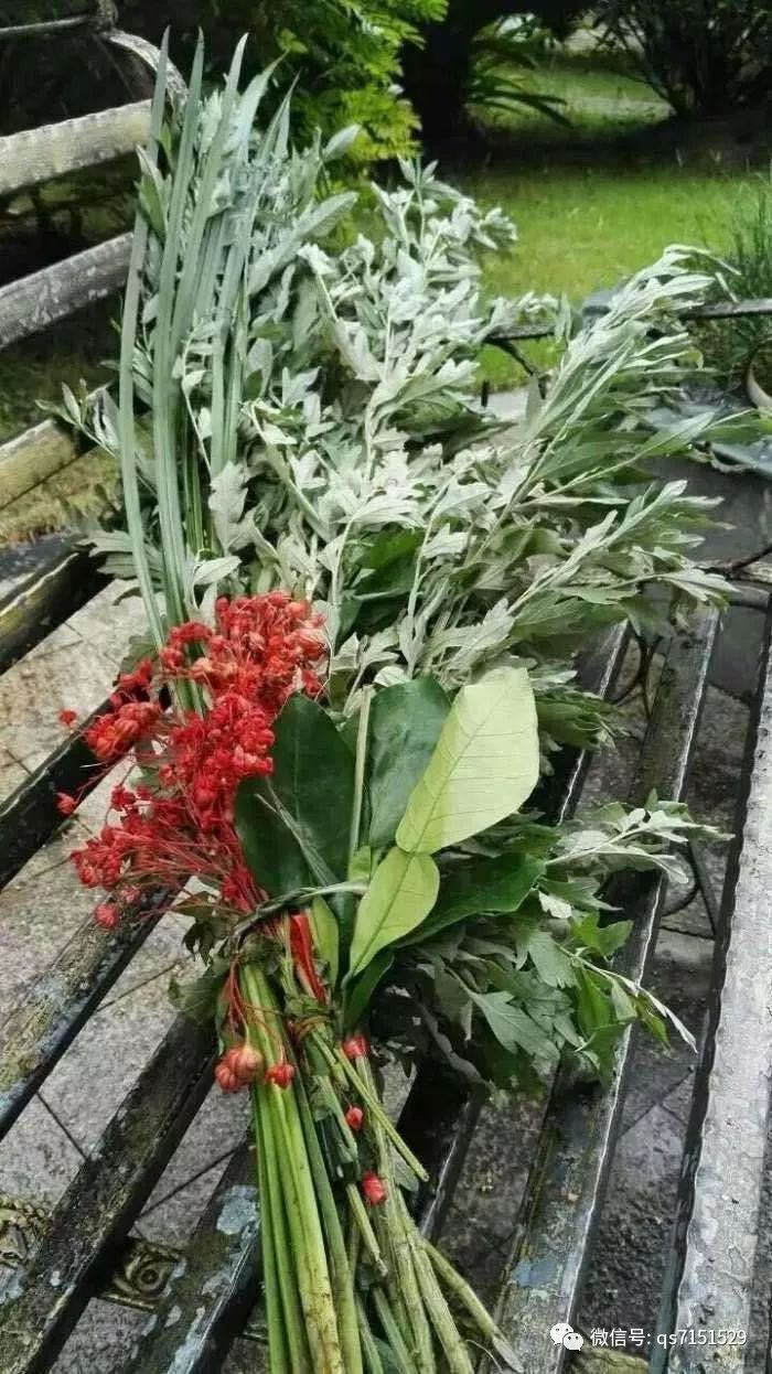 千里艾叶香浓情过端午清水二幼端午节系列活动