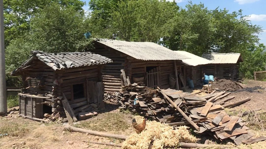 云龙县关坪乡的丕登孟村的群众过去就祖祖辈辈居住在低矮潮湿的垛木房