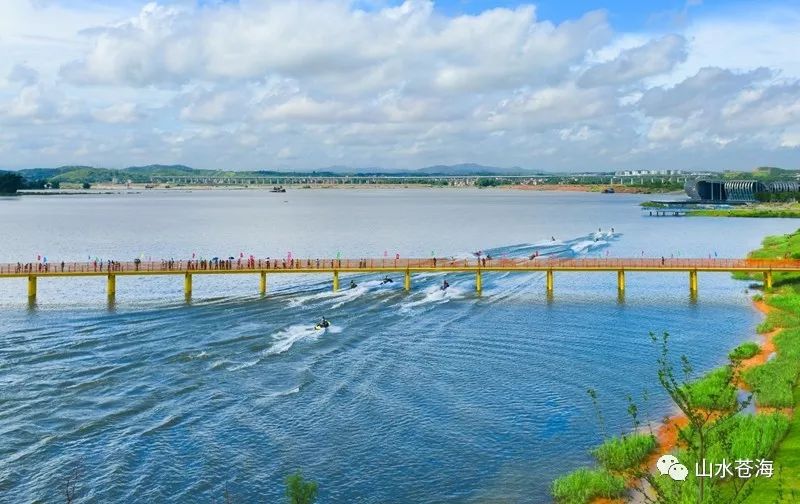 龙舟竞渡百舸争流苍海新区热血逐浪造福城市