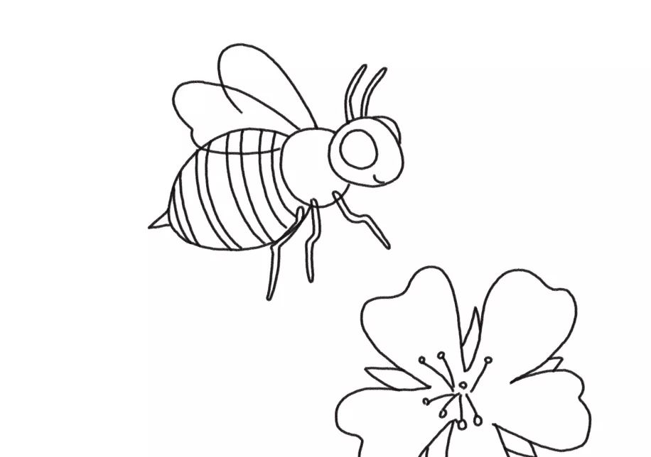小蜜蜂简笔画图片大全图片