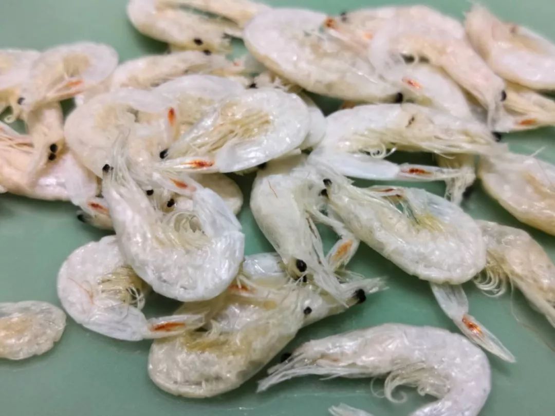 温州唯一以节气命名的海产品_毛虾