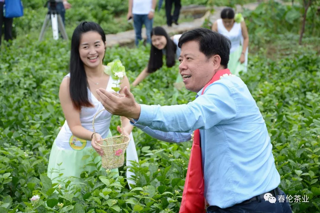 中国文化和自然遗产日带你认识福州茉莉花与茶文化系统遗产