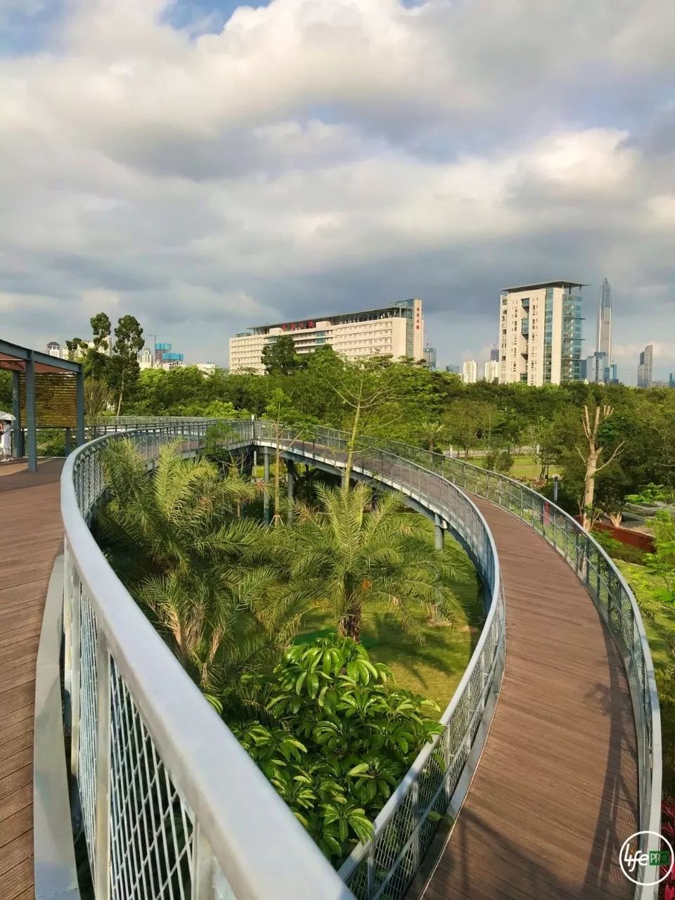 文末红包福利深圳最美的水上彩虹婚姻登记处看完立马想结婚