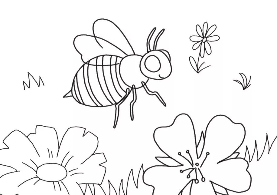 小蜜蜂简笔画 简易图片