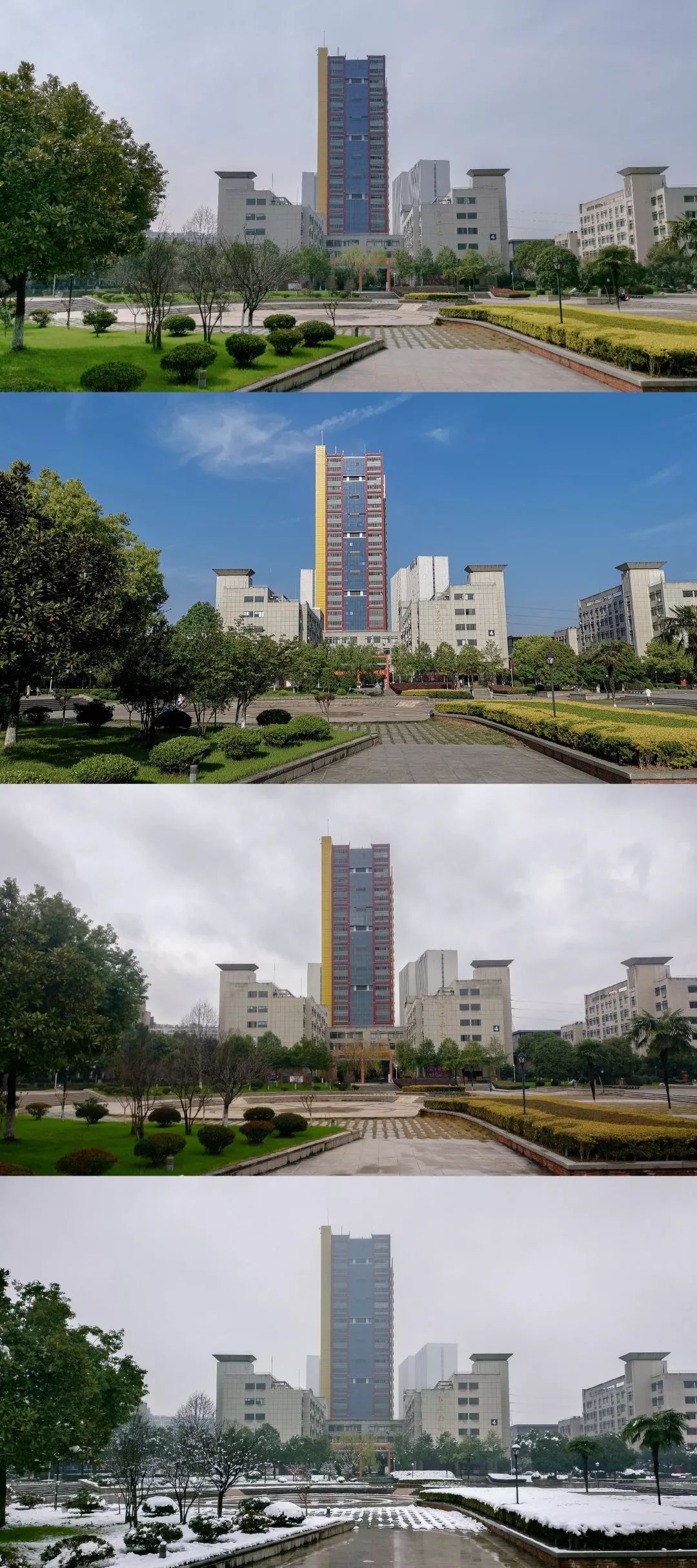 毕业典礼这条推送很长你对浙传的情意更长