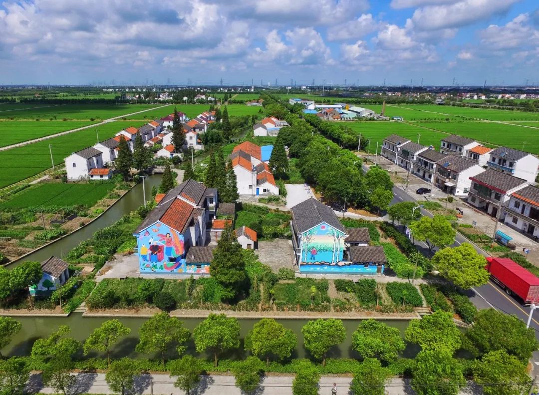 动迁安置大棚房整治石湖荡镇居民快来说说你关心的问题