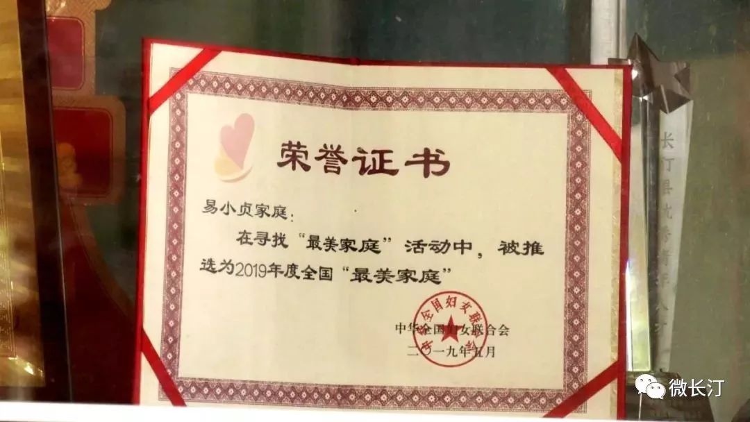 最美家庭丨长汀易小贞家庭传承好家风绿色王国助邻里
