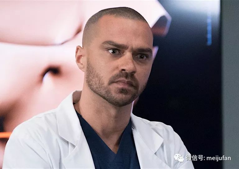 实习医生格蕾杰西威廉姆斯将回归第16季和第17季