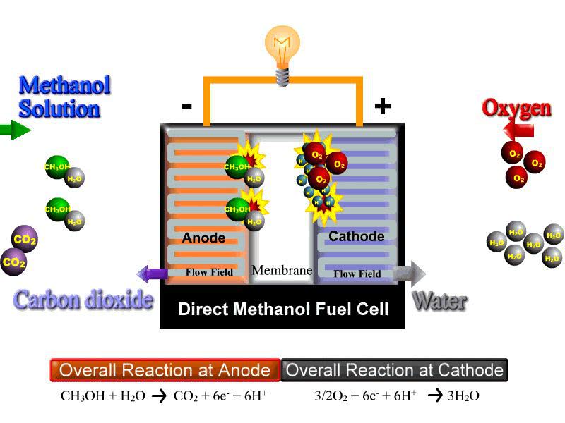园|研究/来自:布鲁克海文国家实验室参考期刊《美国化学学会期刊》doi
