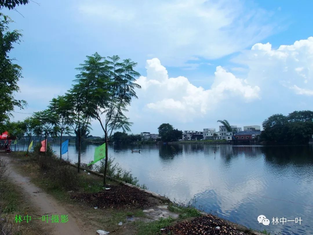 潮州仙河村图片