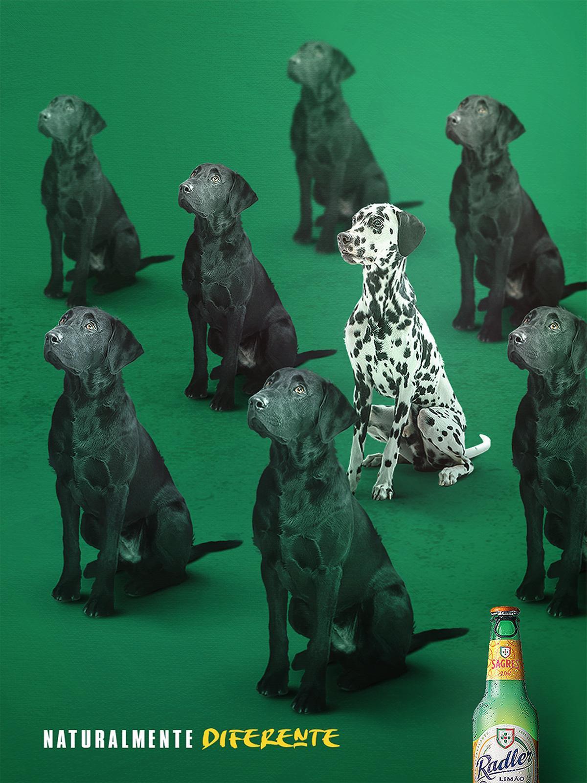 国外啤酒广告创意:与众不同并非都是好创意