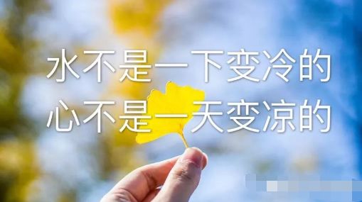 树叶会黄人心会凉