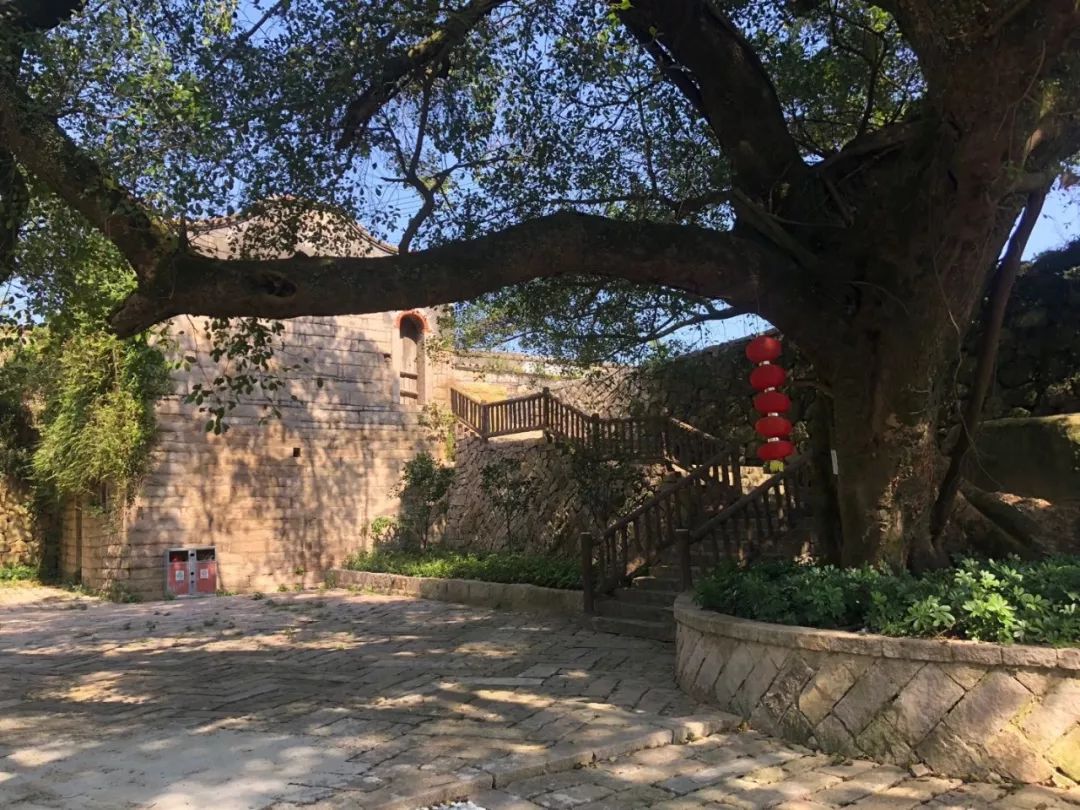 山水福清南岭镇大山村靠山面海自然古朴