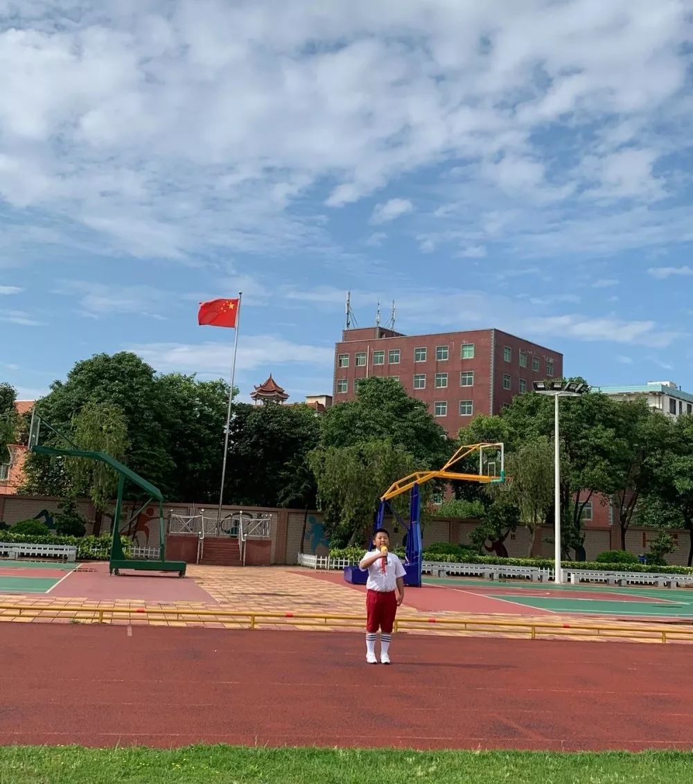 双山中心小学我们的节日端午