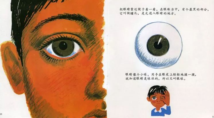 中文有声绘本眼睛的故事