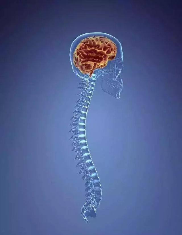 记忆力减退是如何造成的