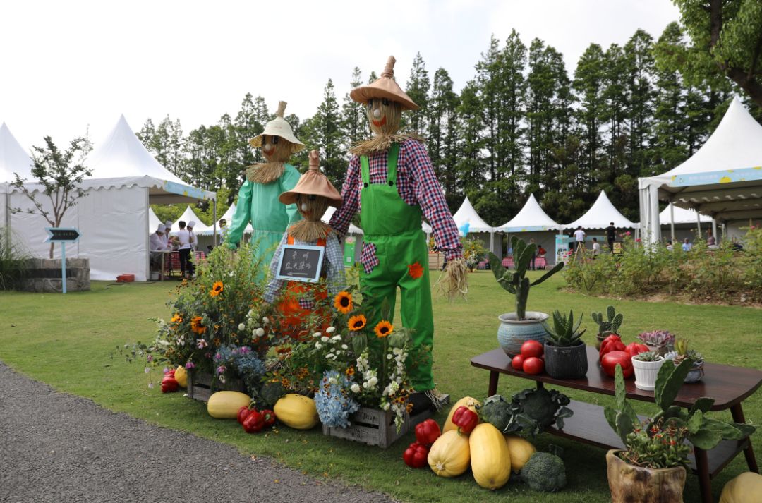 今天崇明这个农夫集市不花一分钱就能淘乐趣