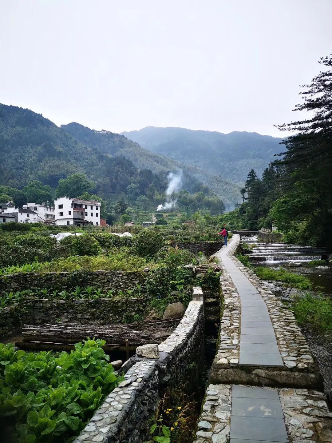 去年今日,再来鄣山顶上过端午#婺源鄣山村