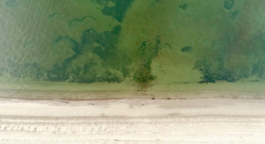 家电渠道洗牌一锤定音，二元化结构将主导未来十年品牌变局-家电圈官网