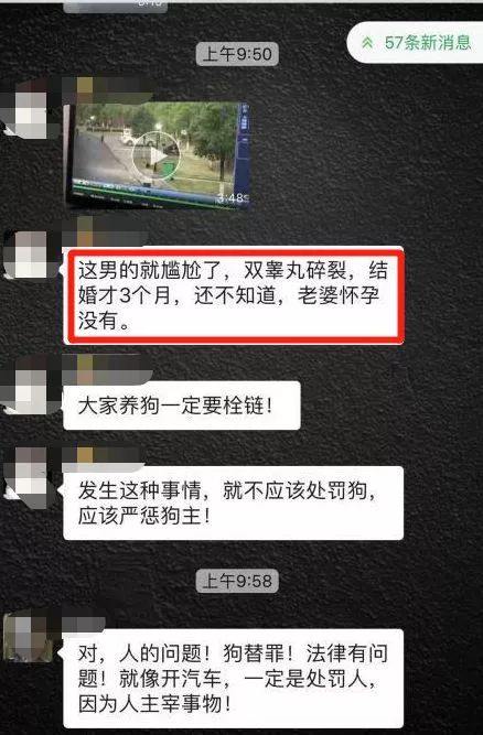 真实的蛋疼男子遭没牵绳大狗疯狂袭击蛋蛋被咬隔着屏幕都觉得痛