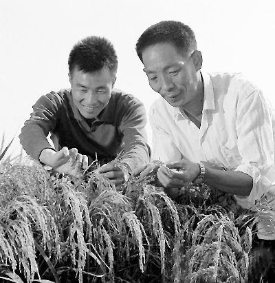 1973年,籼型杂交水稻培育成功,袁隆平(右)获世界粮食奖