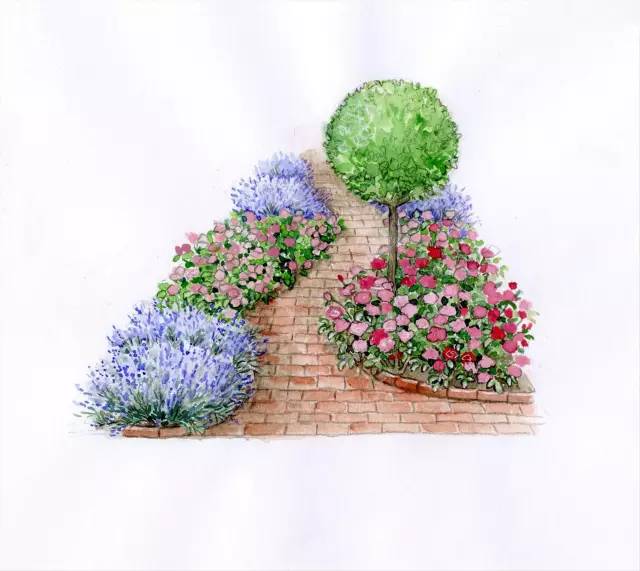 101张超高清精品手绘花境惊艳你的视觉