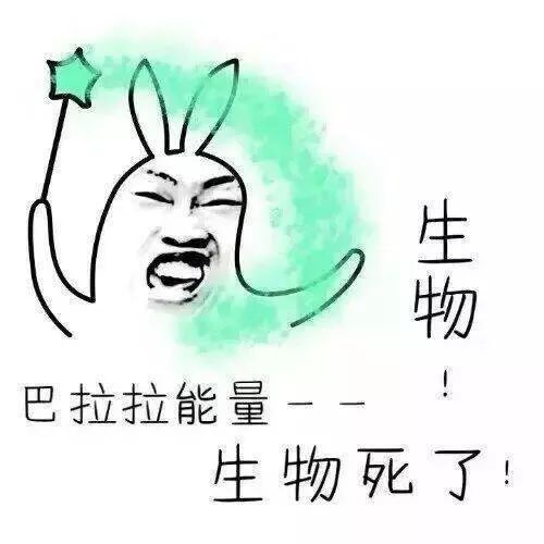 表情包魔法助力,高考加油鸭