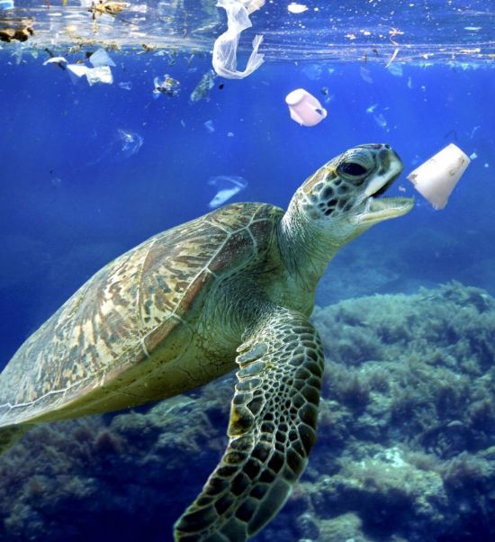 世界海洋日难以处理的海洋塑料垃圾如何变为多彩的沙滩屋