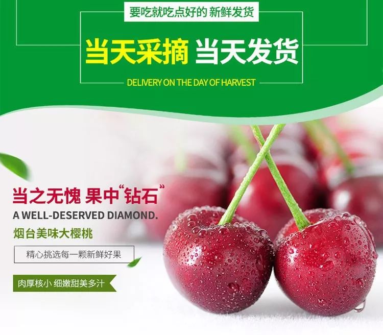 报社实力带货美早大樱桃198元5斤冷链包邮只备1000斤