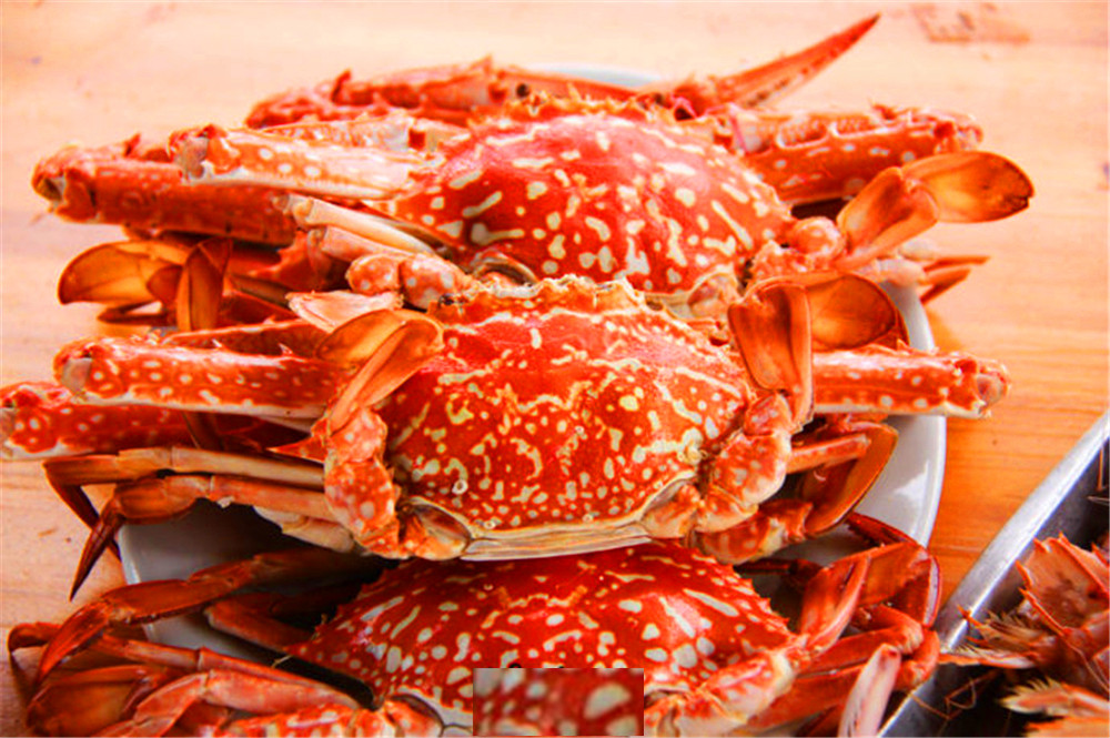 原创端午节来北海体验慢生活