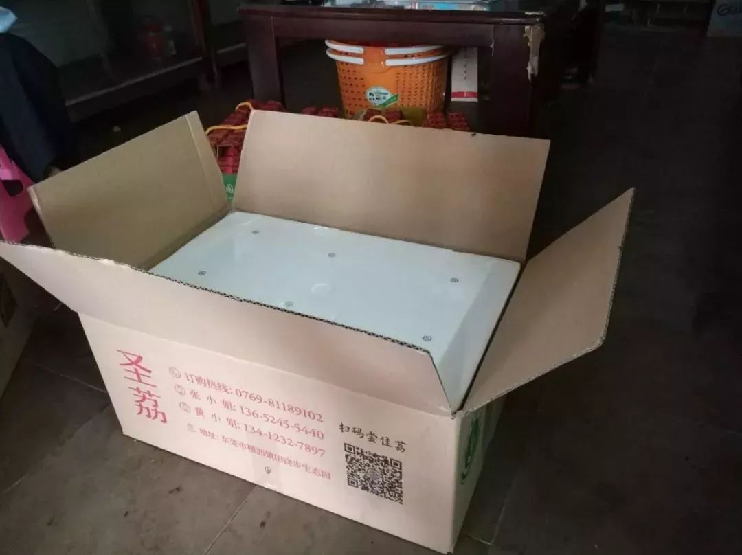 不一样的端午假期来休闲圣地圣荔园摘荔枝钓鱼