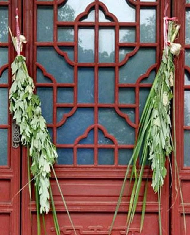 博爱人端午节为什么要挂艾草挂几根