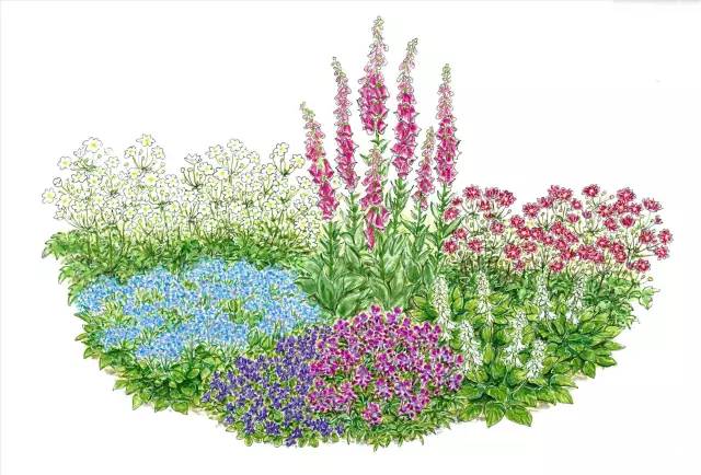 101张超高清精品手绘花境惊艳你的视觉