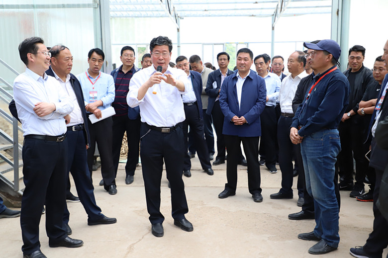 省农业农村厅副厅长李明生,厅党组成员杨祁峰,陇南市副市长张宏,省