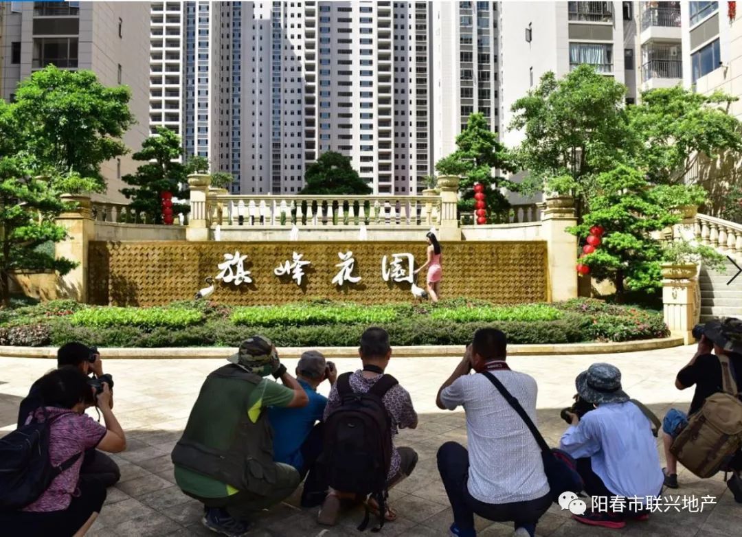 旗峰花园"峰林人居"魅力摄影赛盛大开幕!_阳春市