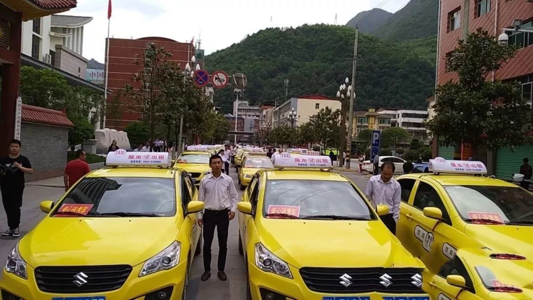 康县道路运输管理局组织双祥公司,诚信公司,平安驾校,康安驾校出租车