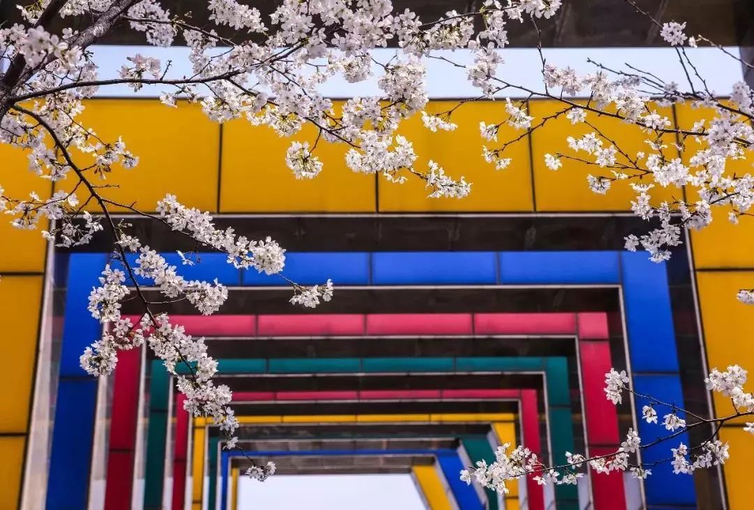 浙江传媒学院2019年招生录取章程来啦