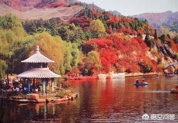 济南近几年兴起的,一点也不比三大名胜差的地方_百花洲