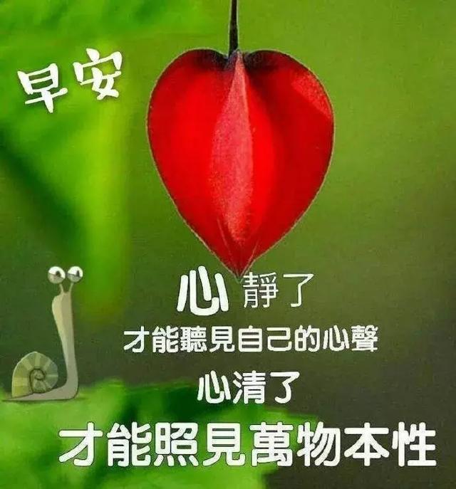 清晨太陽昇起,明亮你的心情,早安,祝你天天好心情