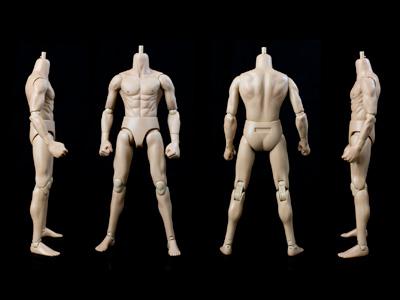 我没敢抬头,也知道我被这些人体塑料模型包围了.