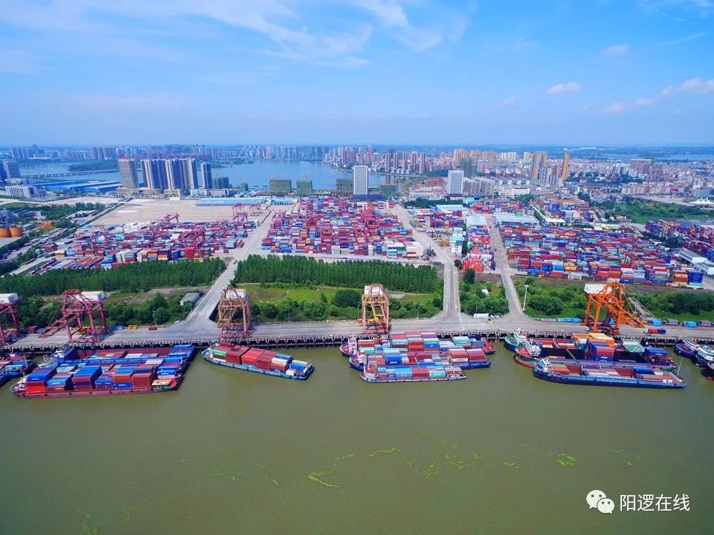 进击的阳逻之心还有机会抢占原始股吗