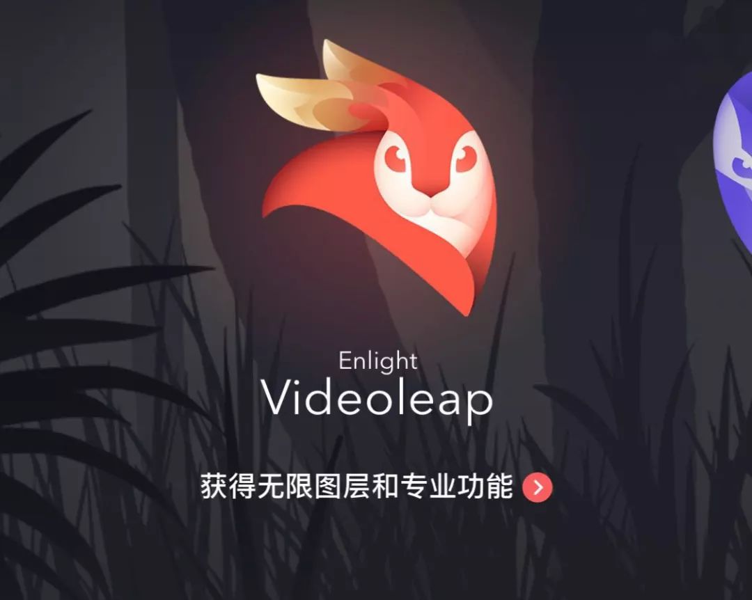 手机视频后期剪辑videoleap常用工具使用讲解