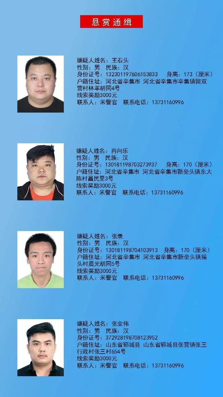 恶逃犯的缉捕力度,石家庄市公安局公开悬赏通缉30名涉黑涉恶在逃人员