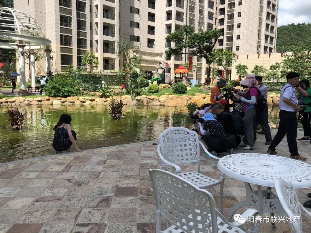 旗峰花园"峰林人居"魅力摄影赛盛大开幕!_阳春市